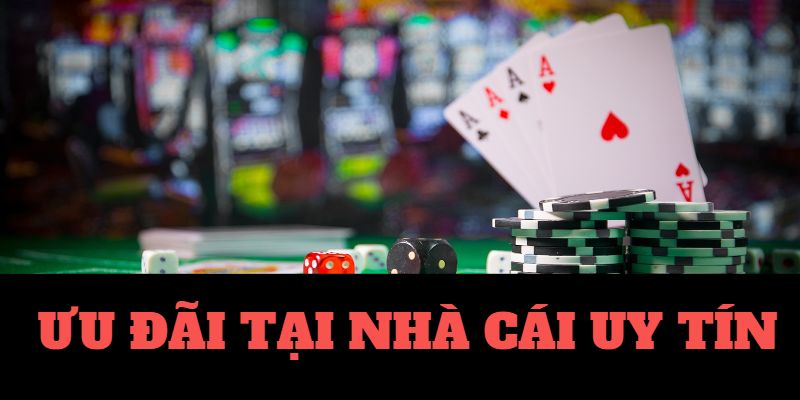 12fun-Bắt đầu hành trình với trang cược xanh chín ngay bây giờ!